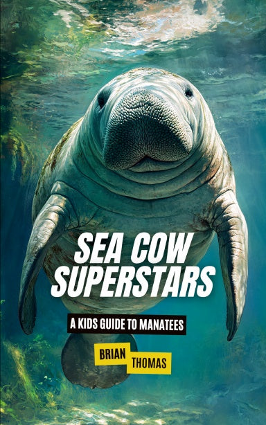 Book Cover Variant Thumbnail