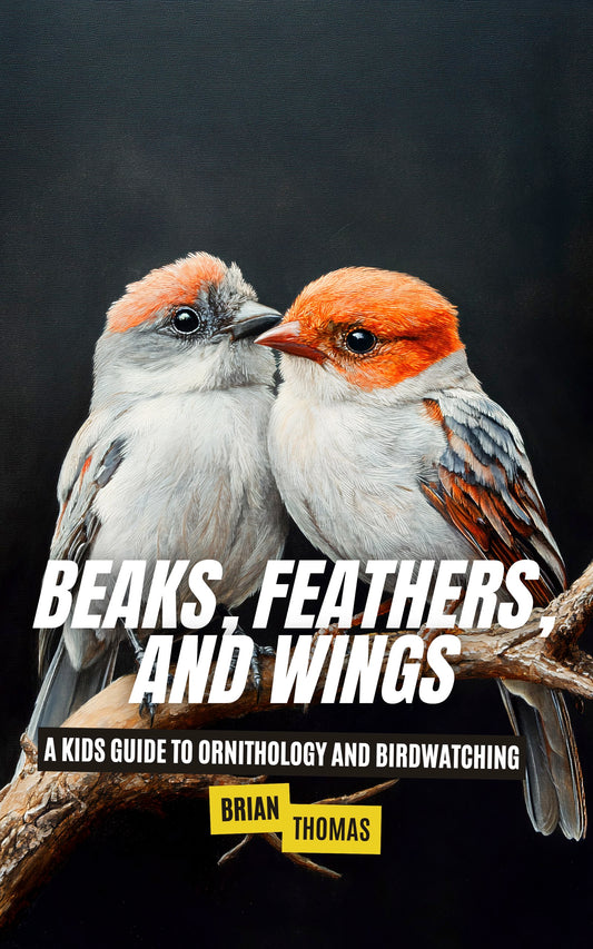 Beaks, Feathers, and Wings: A Kids Guide to Ornithology and Birdwatching