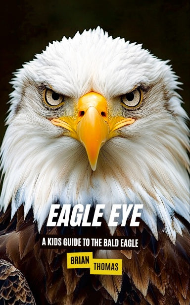 Book Cover Variant Thumbnail