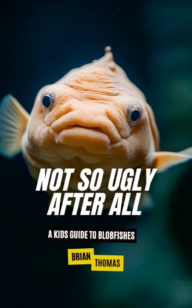 Book Cover Variant Thumbnail