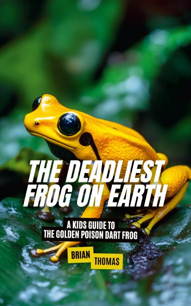 Book Cover Variant Thumbnail