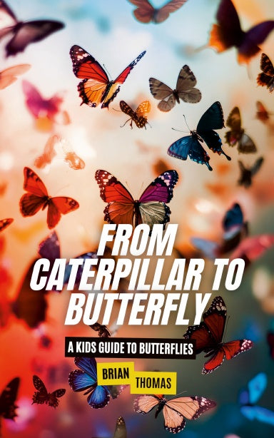 Book Cover Variant Thumbnail